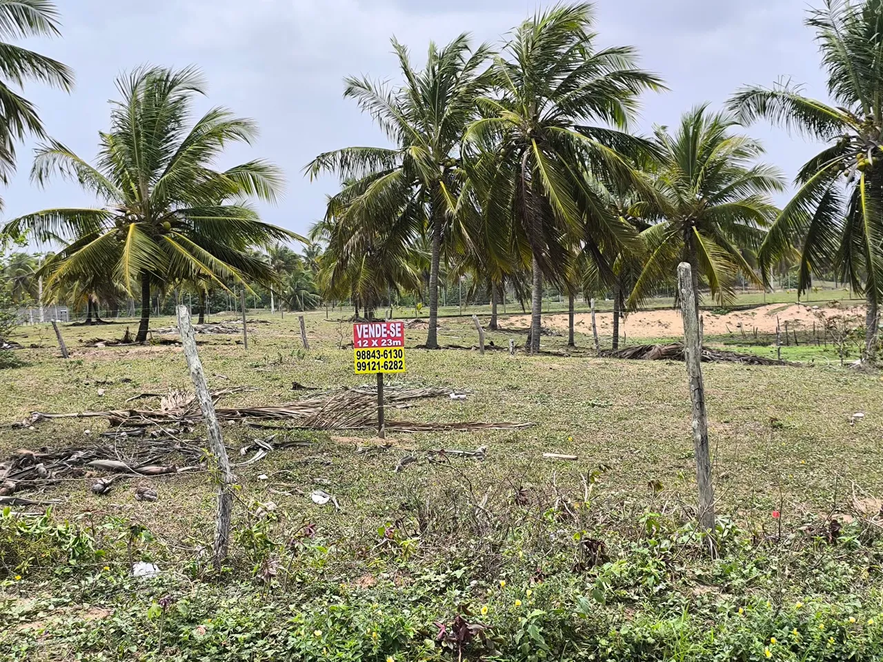 Tereno em barra dos coqueiros