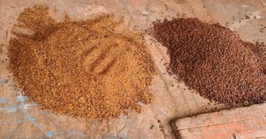 Venda urucum para animais - Foto 2