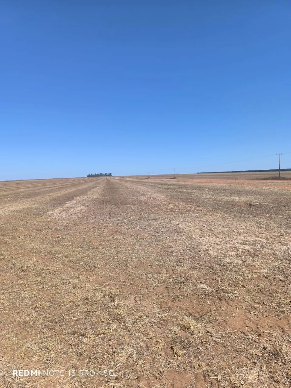 Fazenda arrendamento 1.200hec em Nova Esperança MT. Repasse, ágio. 1.7 milhão.