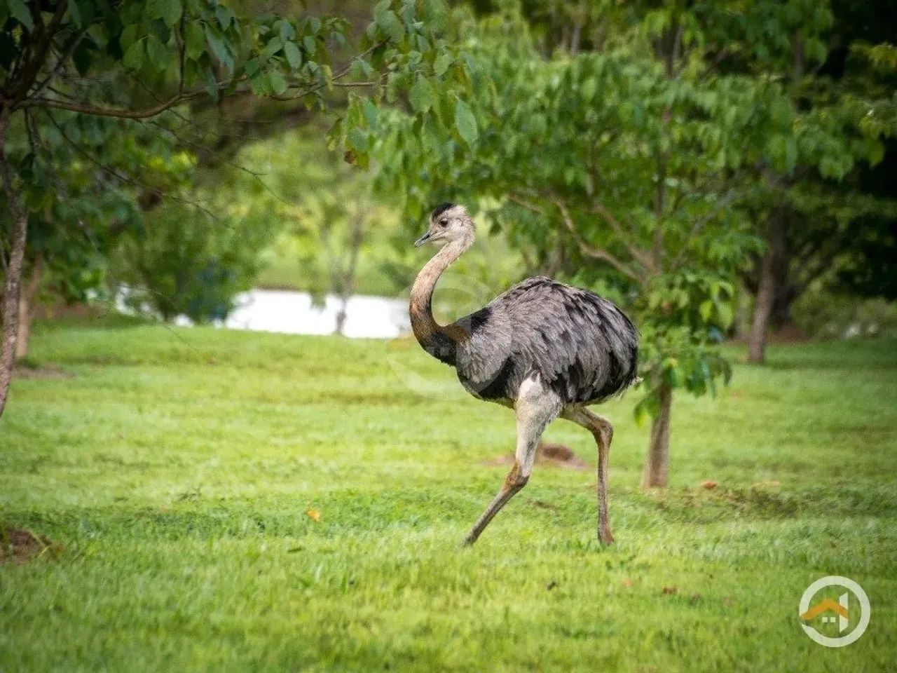Terreno lote Aldeia do Vale