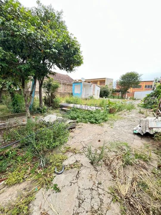 Terrenos a venda - Sarandi - Foto 4