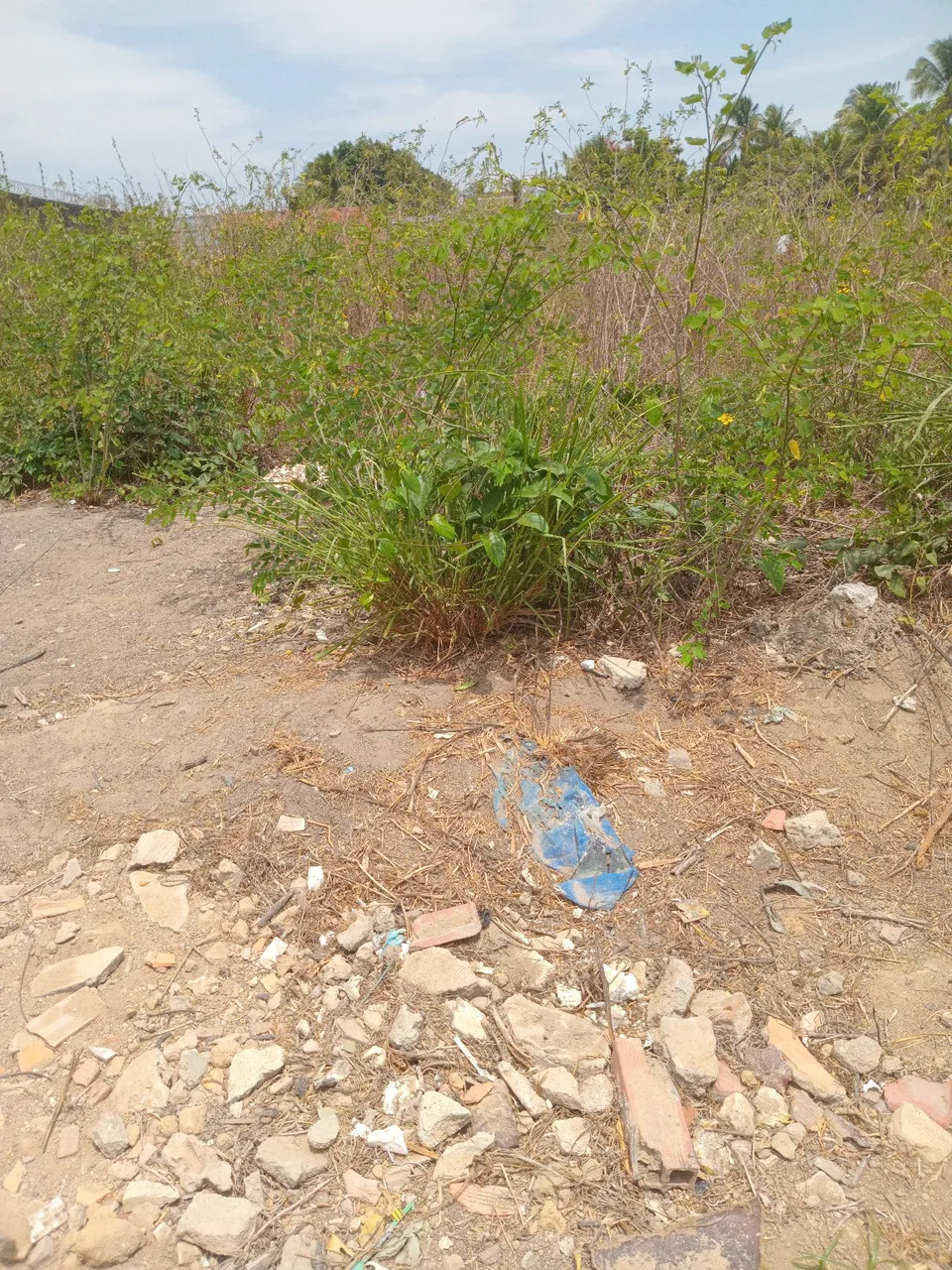 Vendo terreno 10x25 Bairro sao luiz
