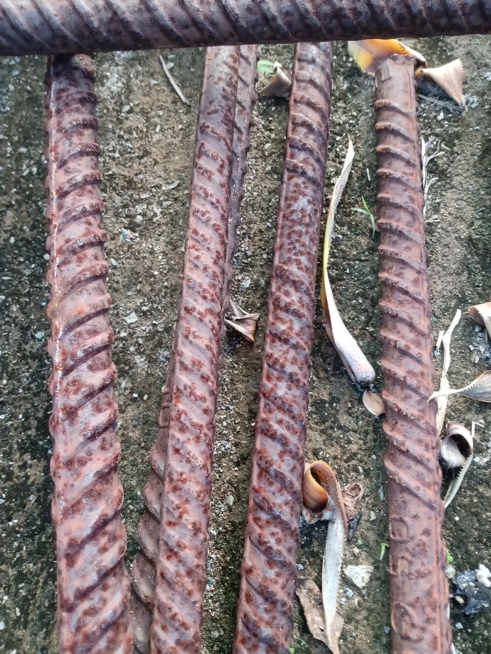 Venda
