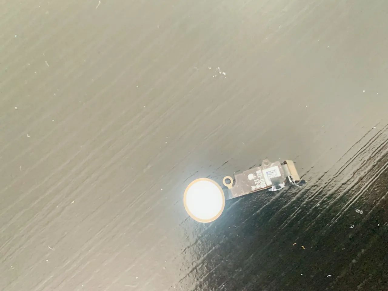 Botão Home iPhone 7 Plus - Foto 2