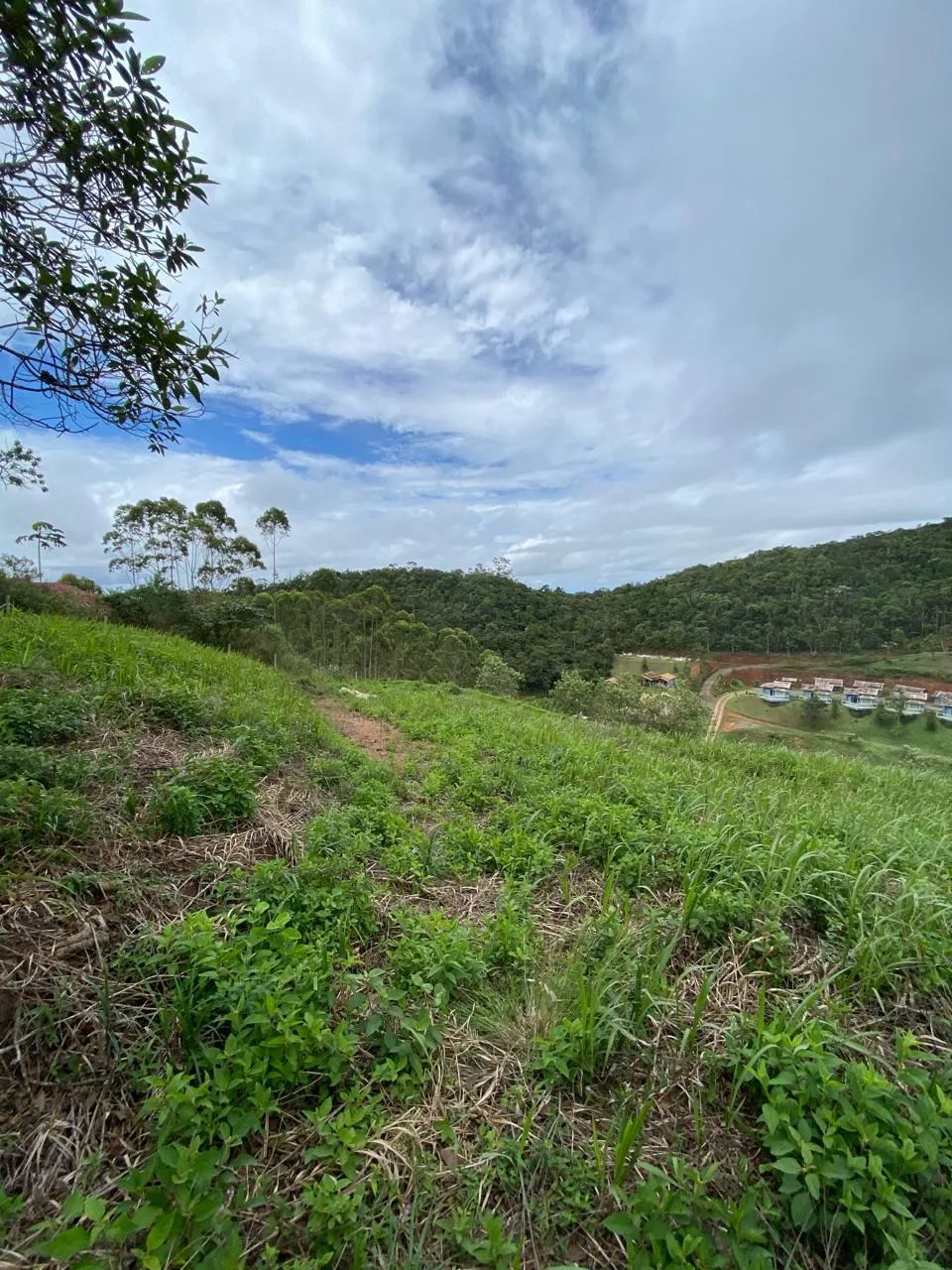 IMPERDÍVEL - TERRENO NO CARAVAGGIO EM SANTA TERESA - Foto 4
