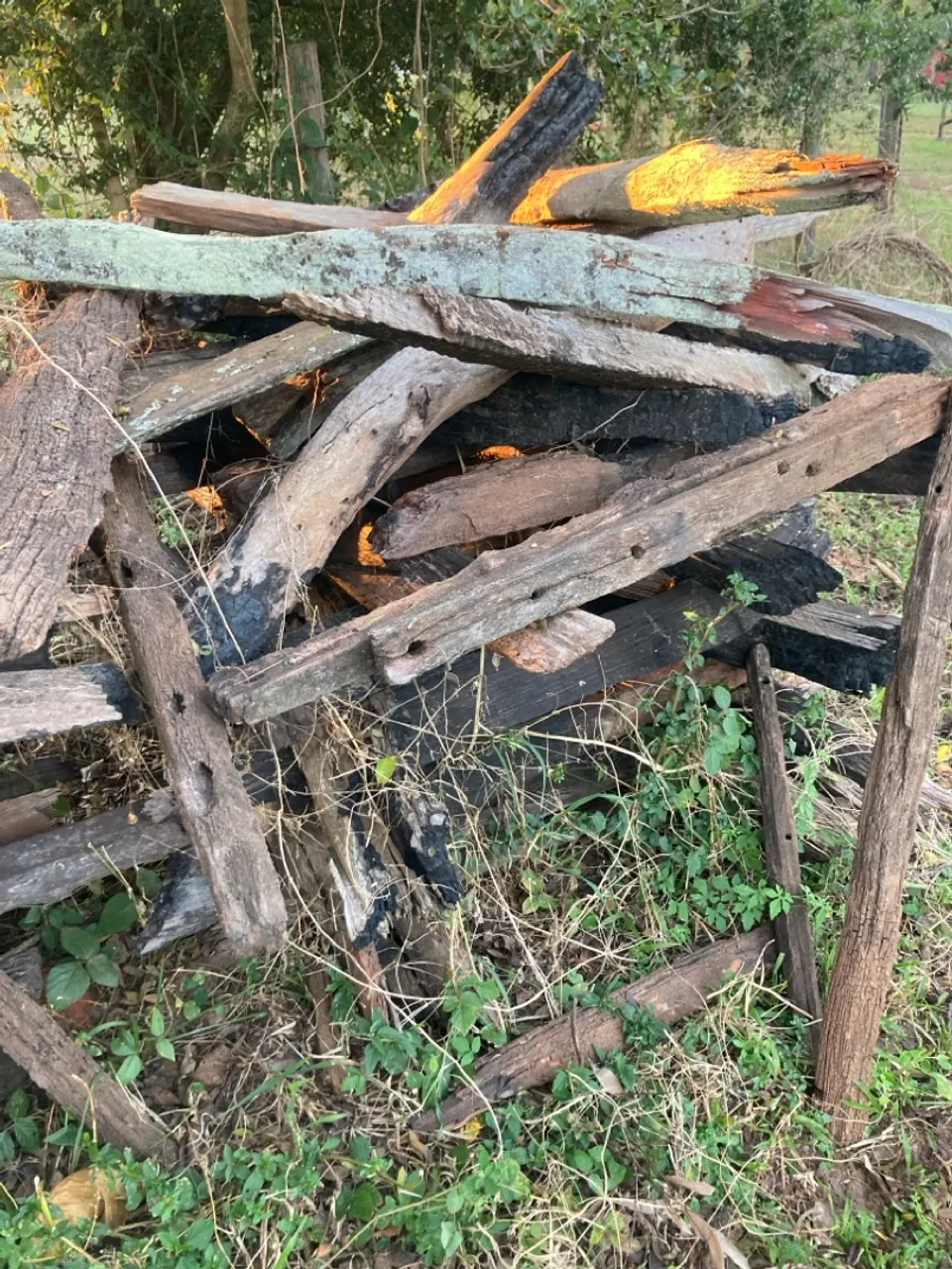 Madeira para churrasco , aroeira e eucalipto