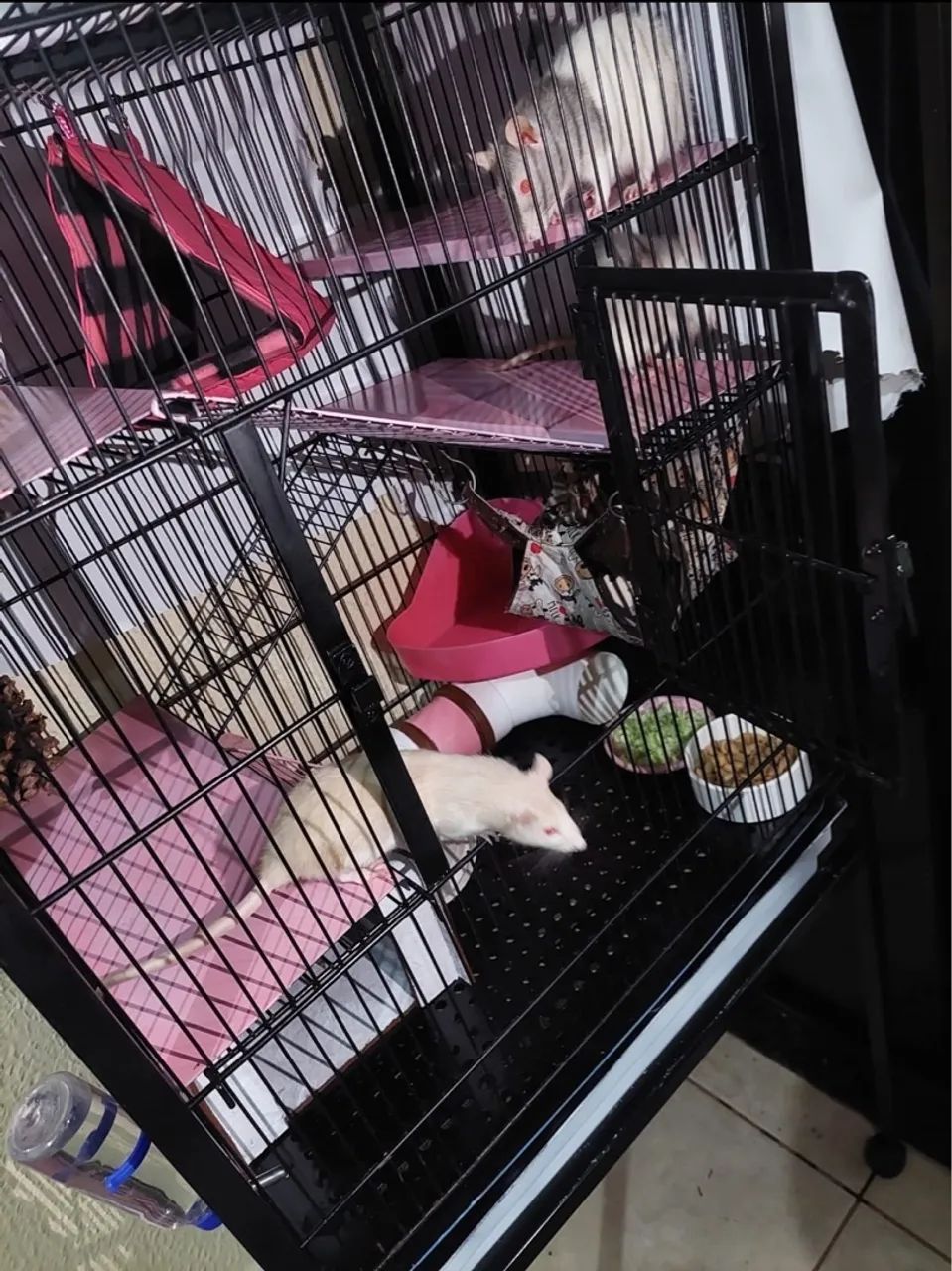 Vende-se Gaiola com rato Twister - Foto 3