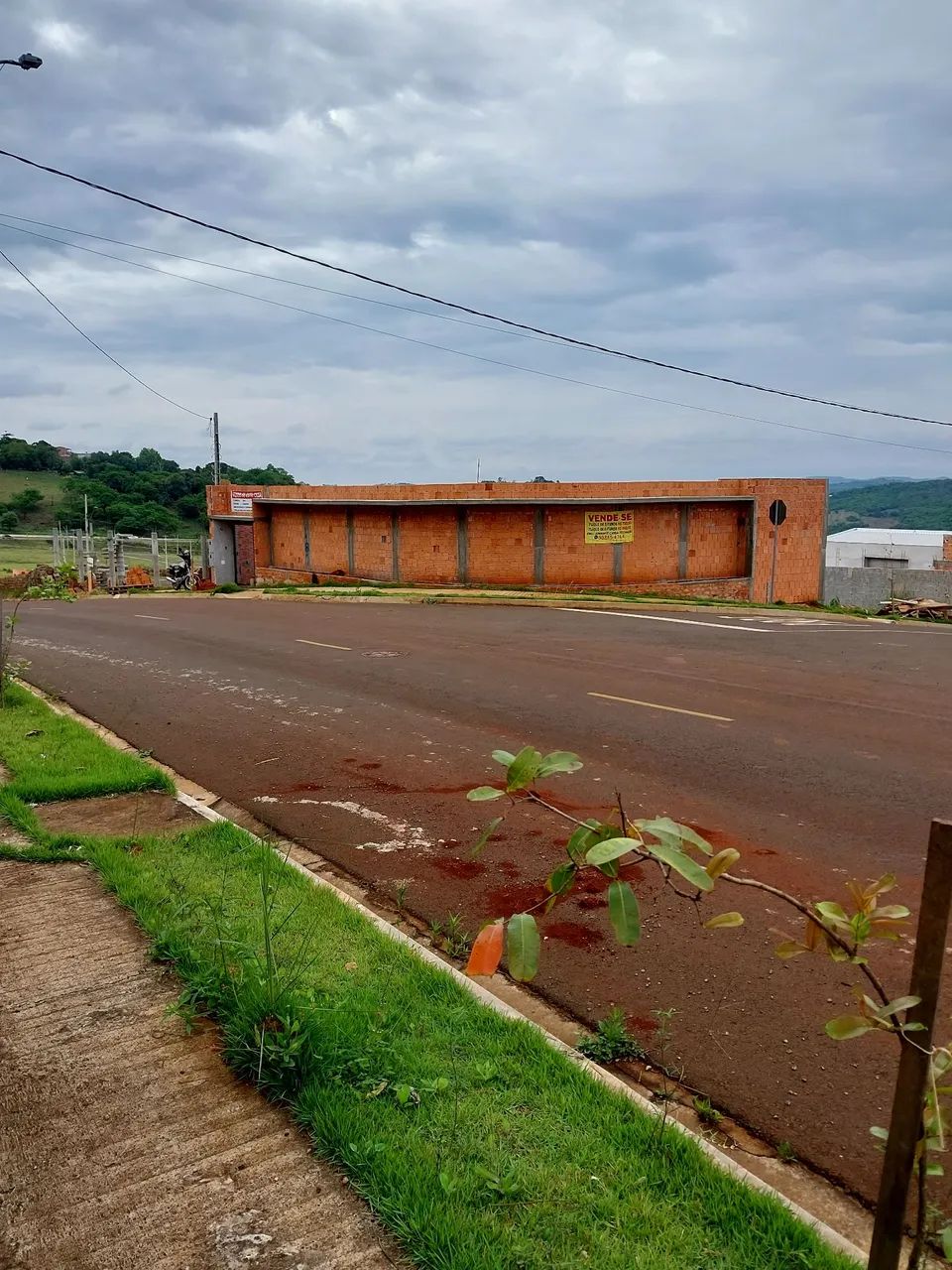 Foto - Londrina - Cafezal