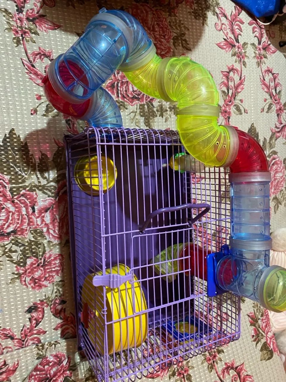 Gaiola para roedores com acessórios