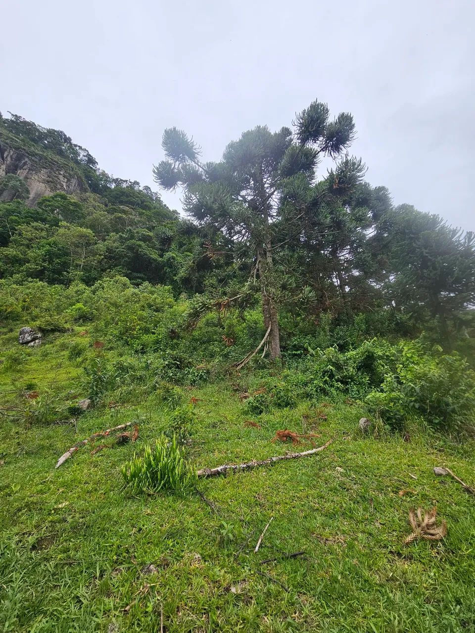 Terreno pedra vermelha  - Foto 5