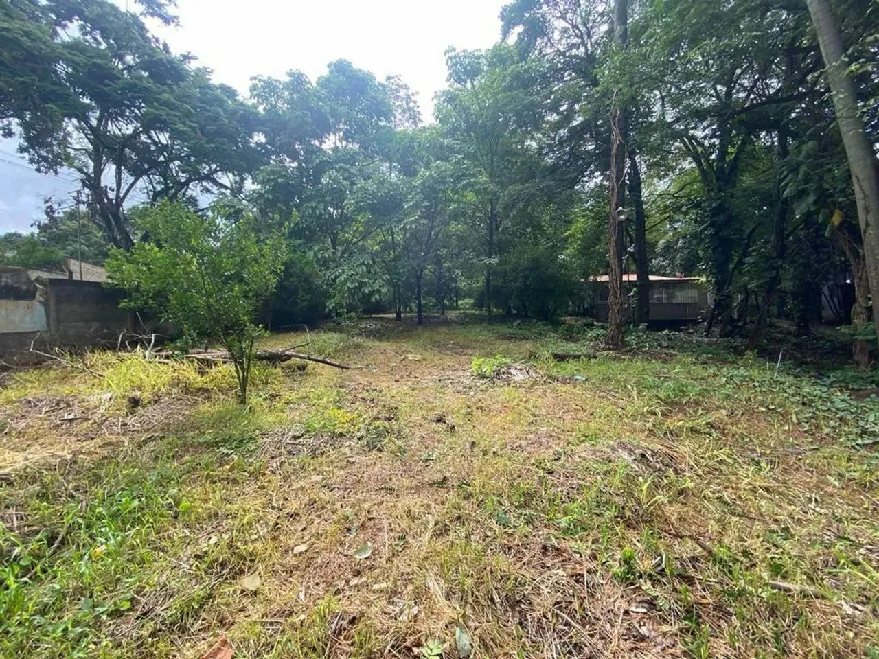 Lote em Avenida Otacílio Negrão de Lima - Garças - Belo Horizonte/MG - Foto 3