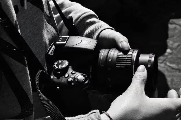 Fotógrafo Profissional - Ensaios, Casamentos & Eventos 
