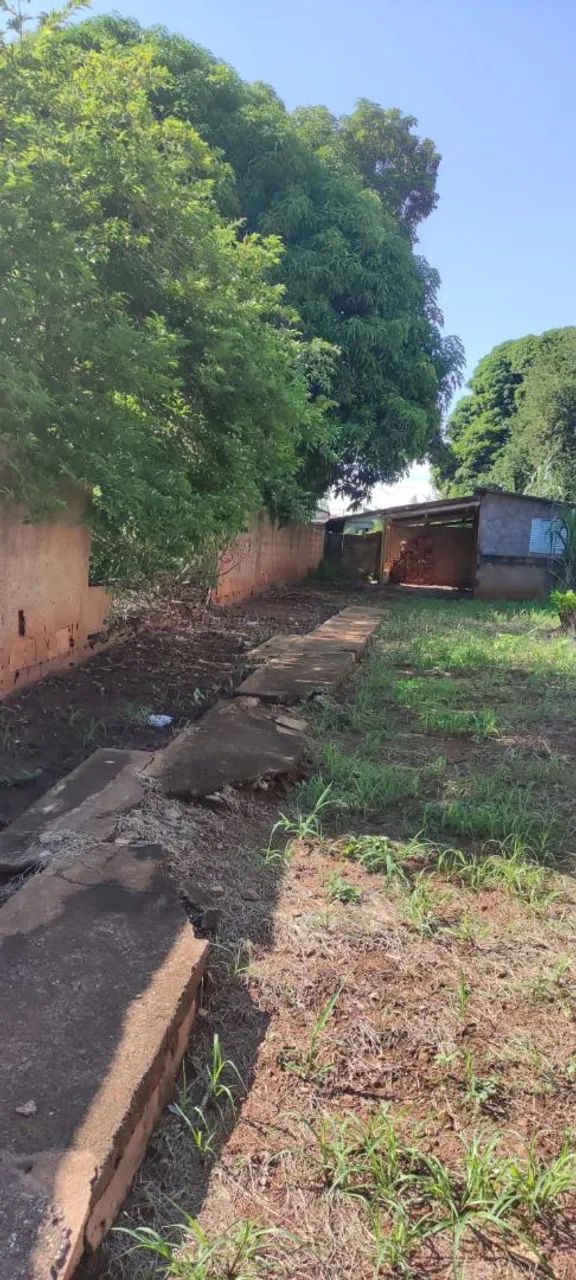 Lote em monte alegre de minas - Foto 3