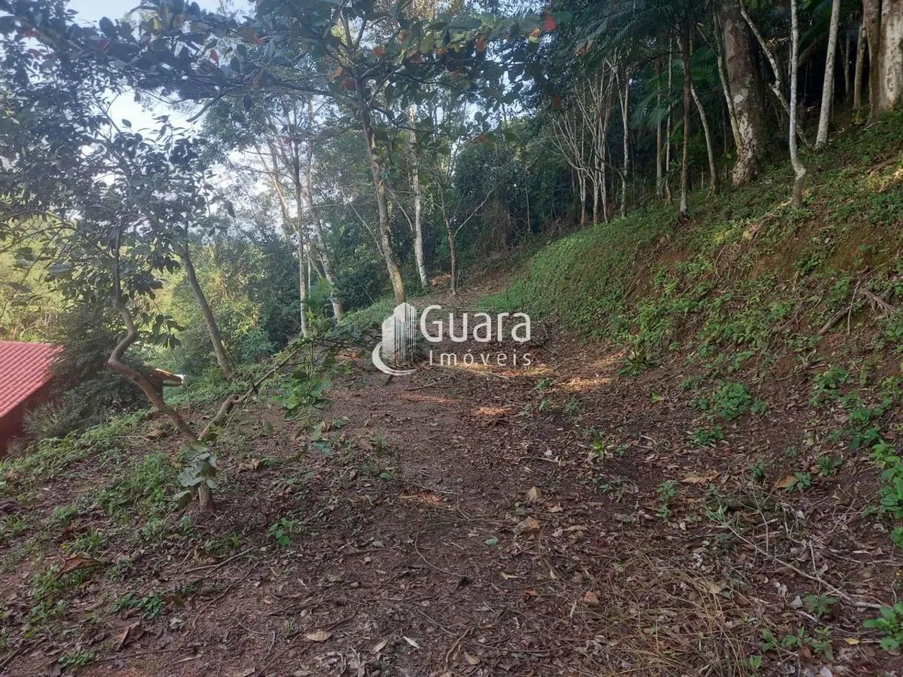 Chacara em Araquari - Foto 4