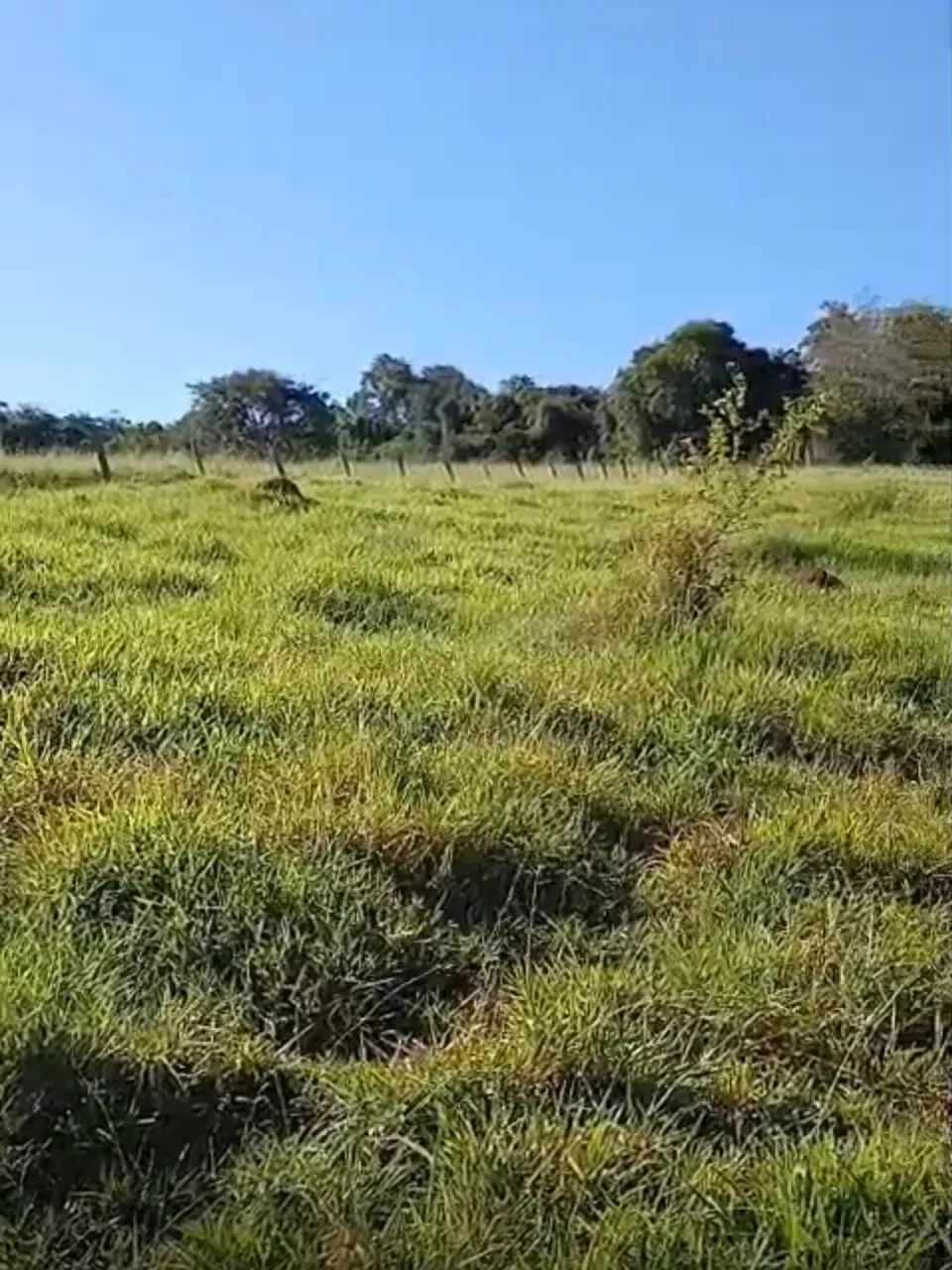 chacara Bela vista - Foto 4
