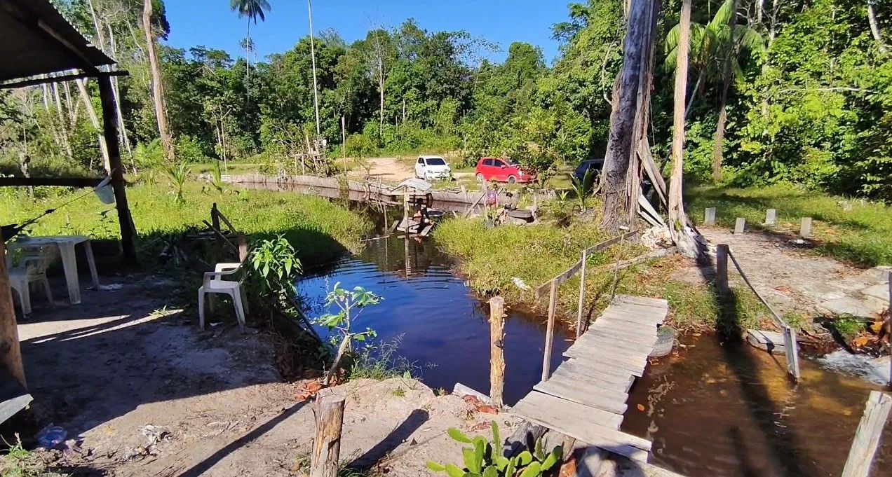 Lindo Igarapé em terreno plaino 