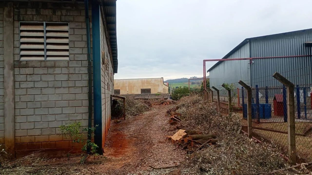 Galpão - 1500m² - Distrito Industrial - São Simão - Foto 2