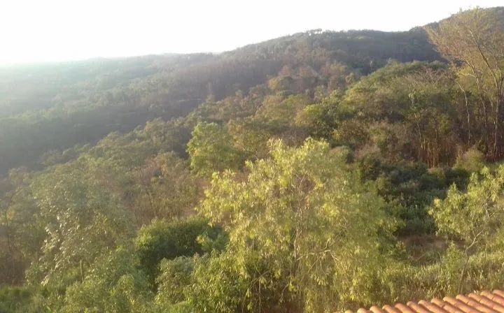 Terreno a 30 min de BH - Foto 4
