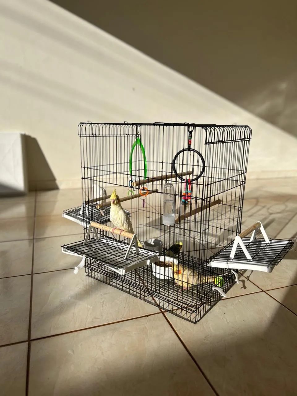 Gaiola triplex para pássaros 