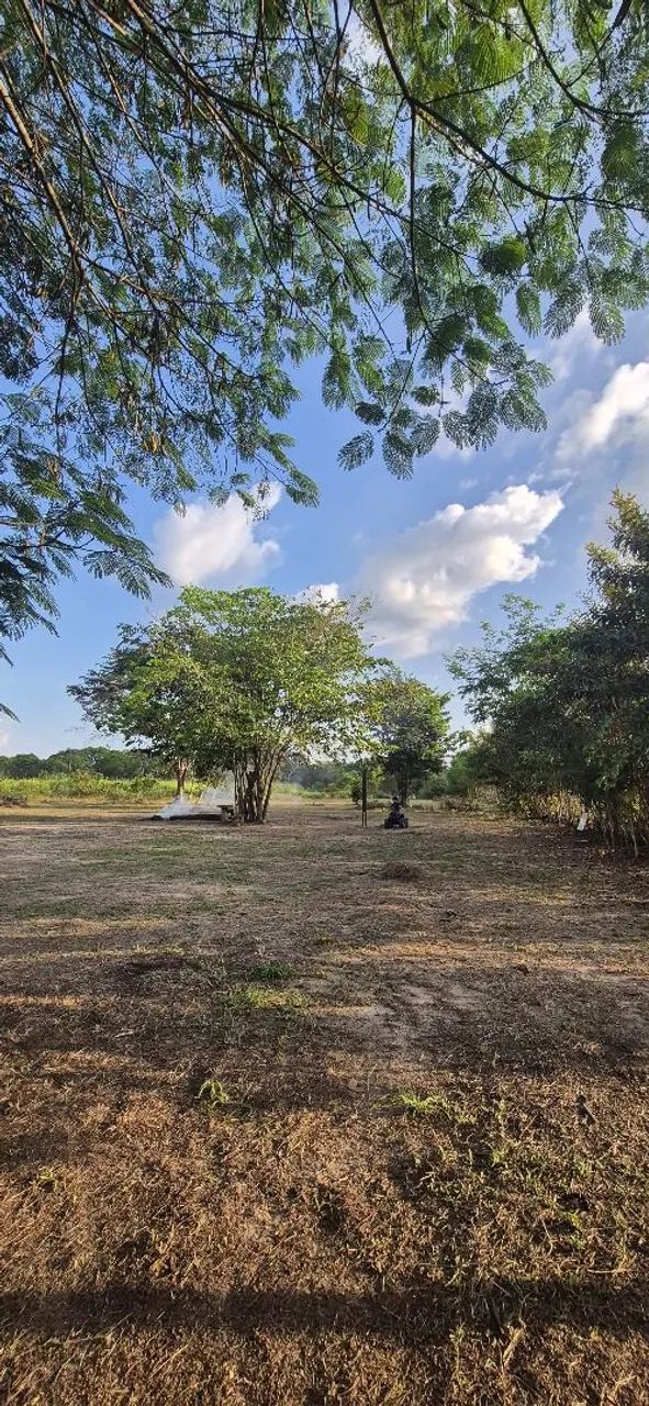Serviço de Roçagem - Foto 3