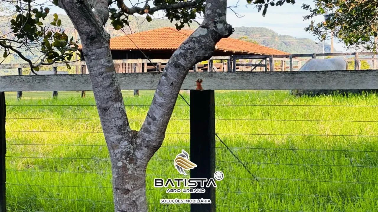 Fazenda 50 Alqueires, 36 km de Palmas - Foto 2