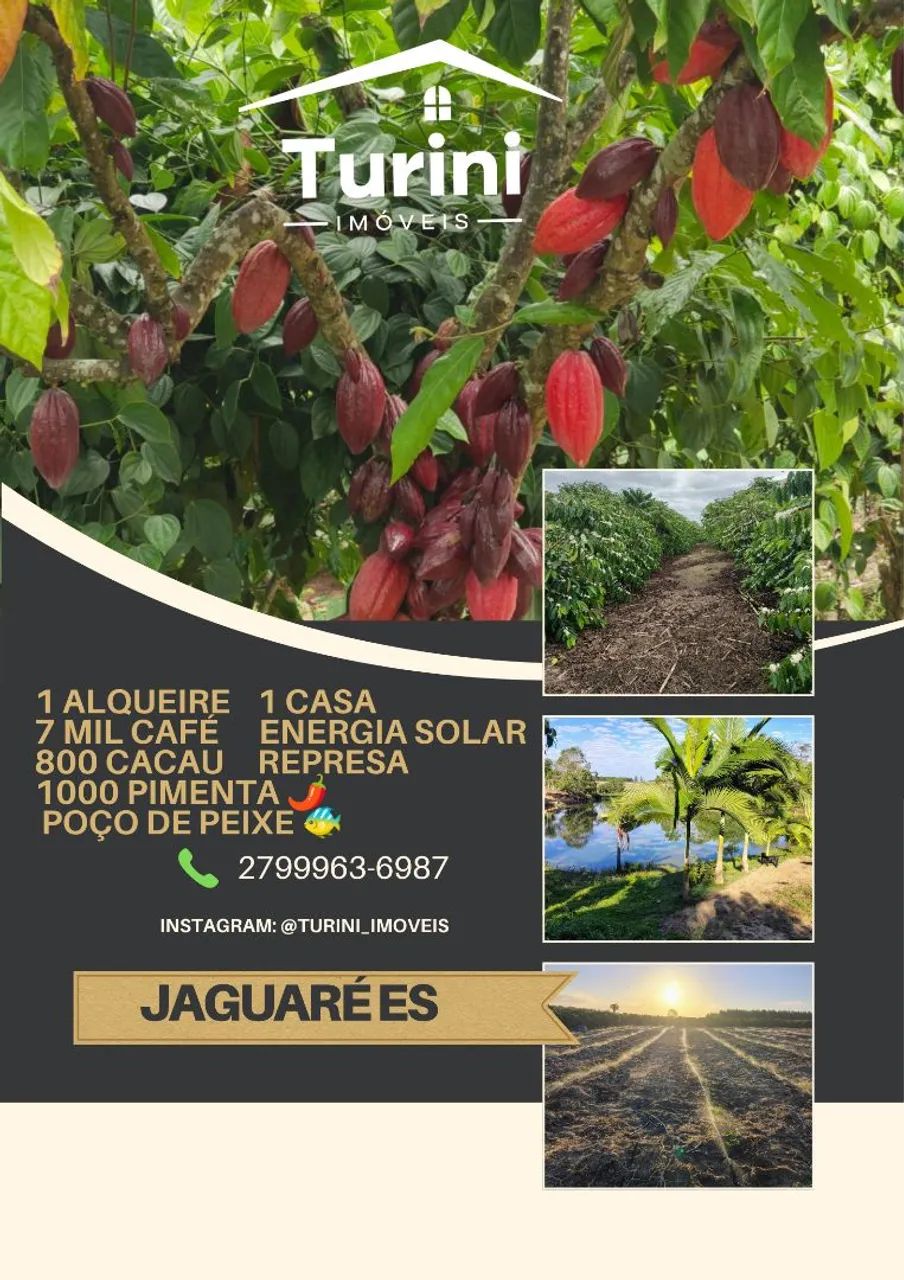 1 alqueire em Jaguaré es 
