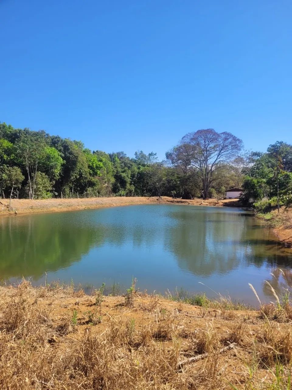 Sítio Bela Vista - GO - Foto 2