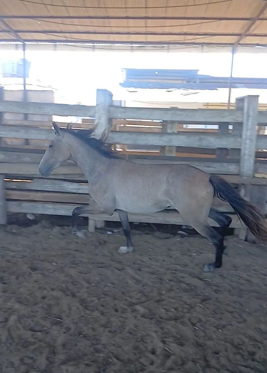 Vendo ou negocio  - Foto 3