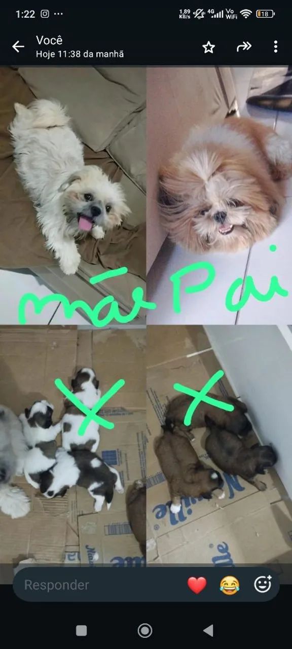 Vende-se  - Foto 3