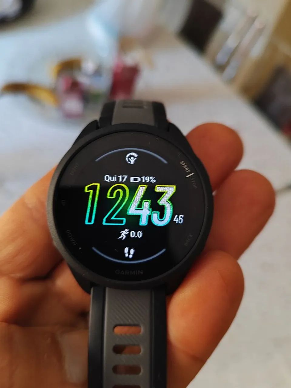 Garmin 165 SEMI NOVO  - Foto 2