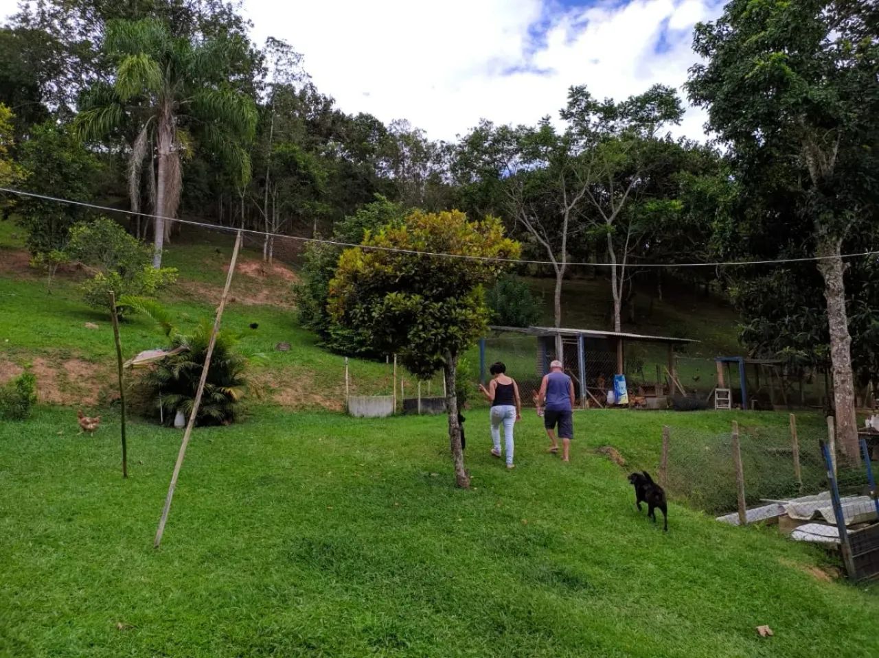 Im óvel comercial para venda possui 0 metros quadrados com 7 quartos - Foto 4