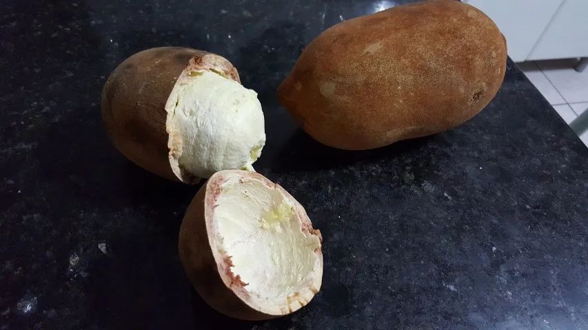 Fruta Cupuaçu Cupuassu Poupa pasta - Foto 4