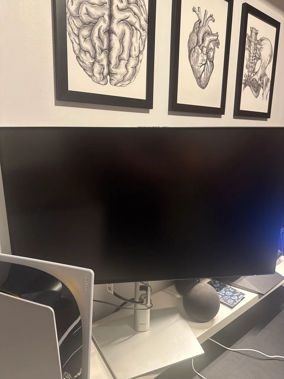 Monitor Dell Ultrasharp - Foto 2