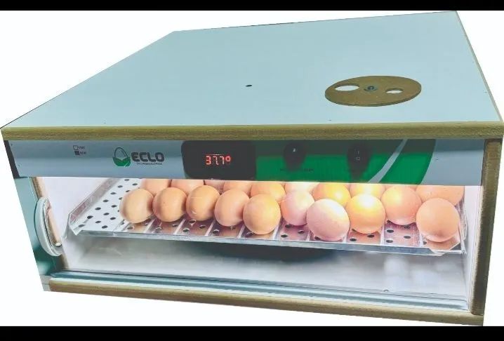 Chocadeira direto da fábrica 