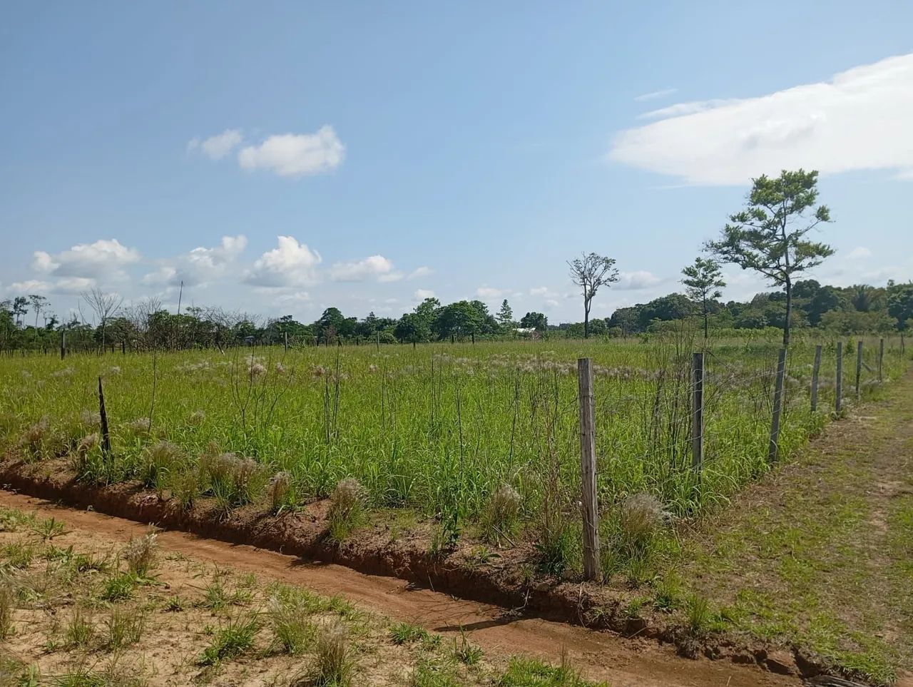 Vendo este terreno, a 1 km da ponte do canaã.