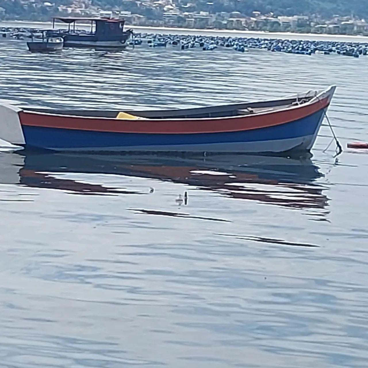Barco baleeira 