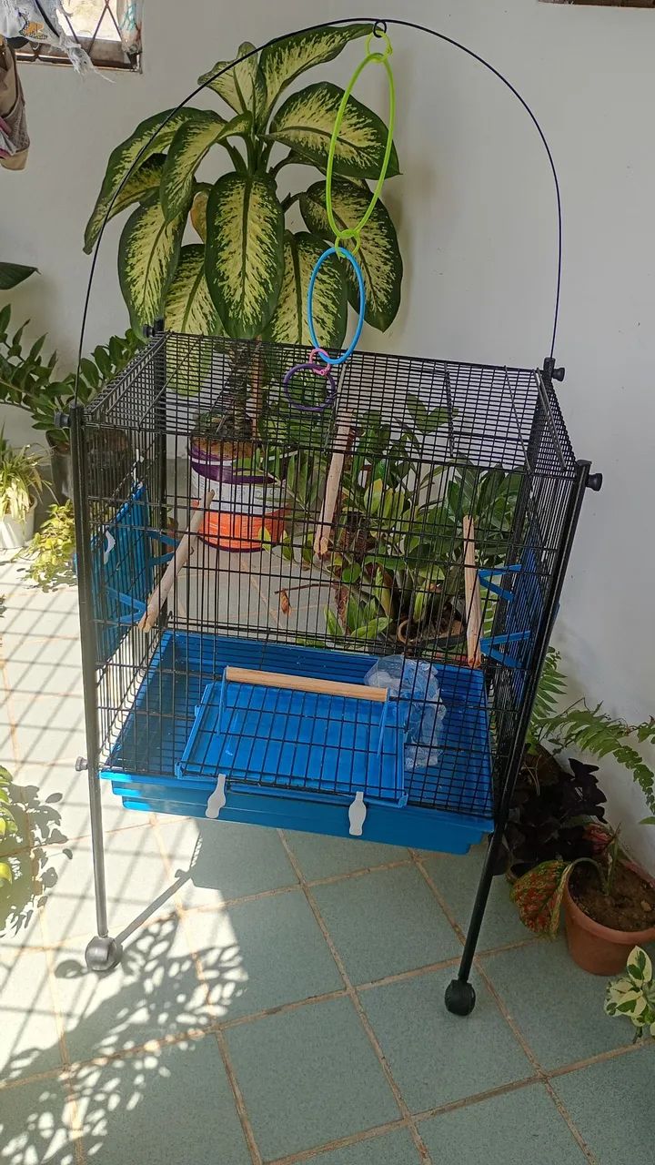 Gaiola para passarinho  - Foto 2