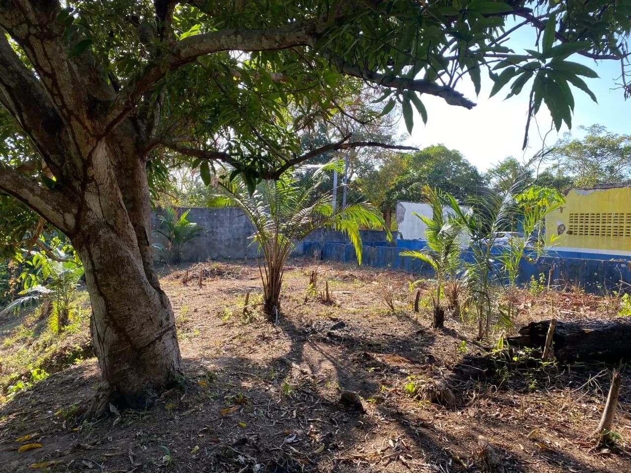 Foto - Manaus - Jorge Teixeira