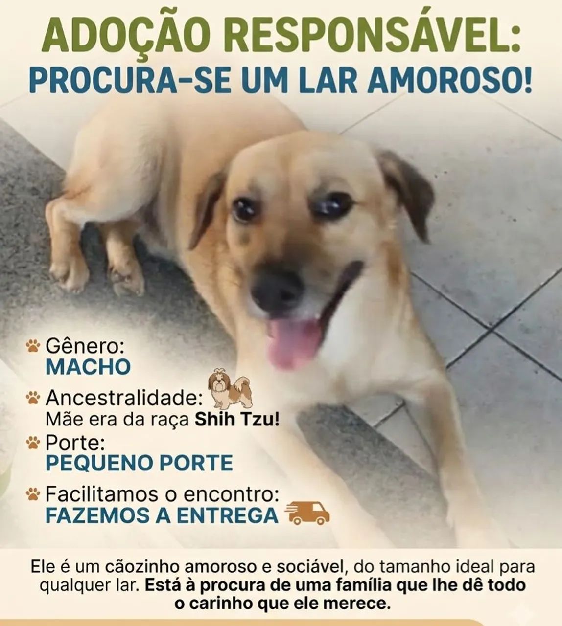 Chorrinho Lindo Para Adoção 