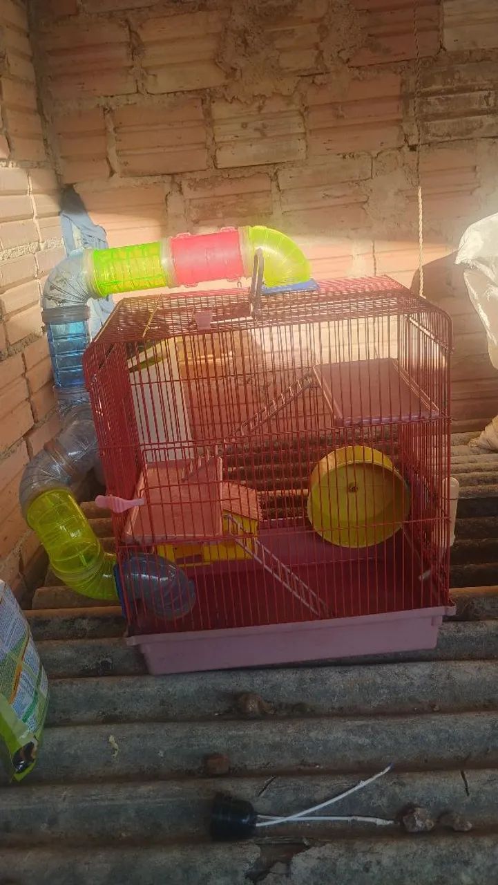 Casinha de hamister 