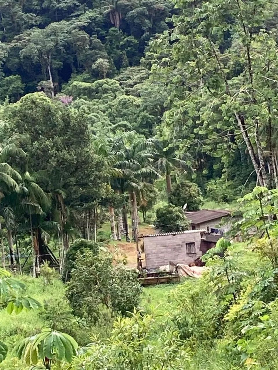 Fazenda - Foto 5