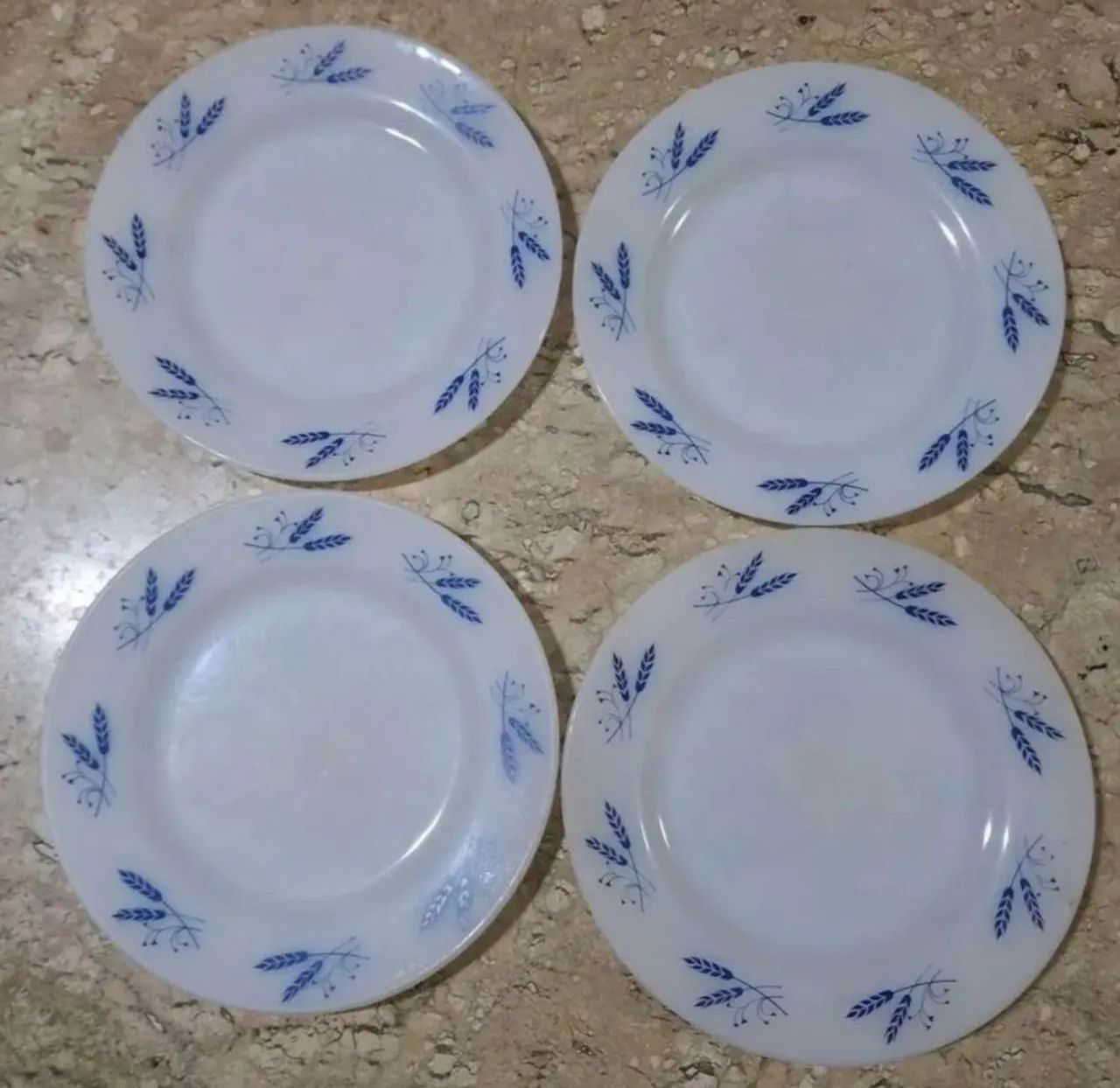 Pratos Termo-rey  - Foto 5