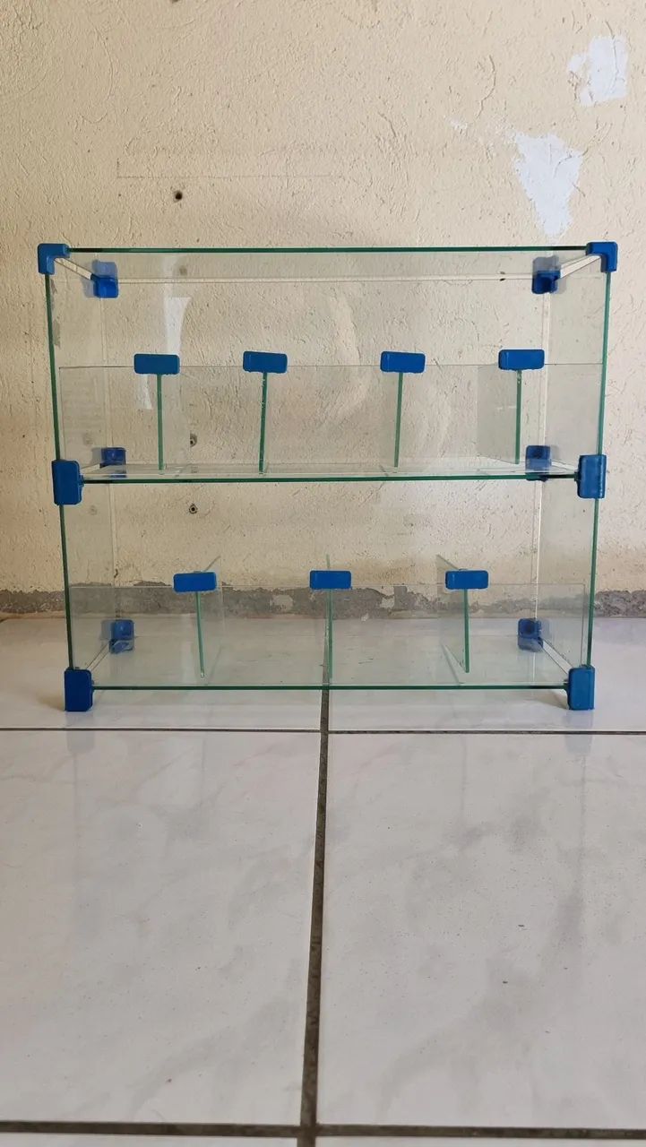Baleiro de vidro65578316322051123