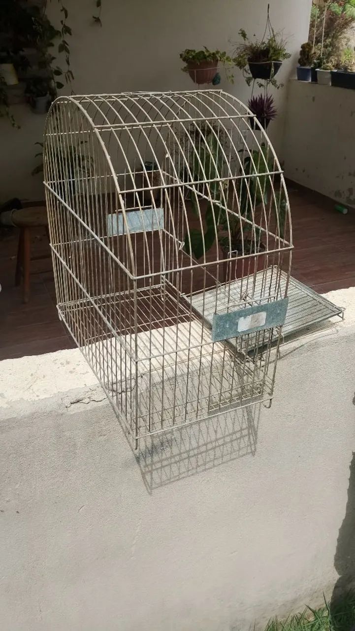 Gaiola  - Foto 3