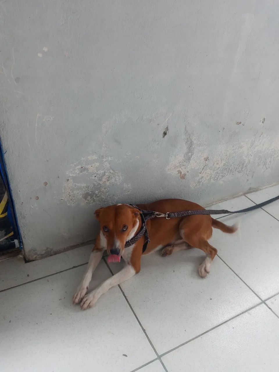doaçao - Foto 3