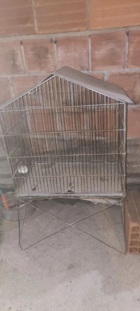 Bird Aviary64993722970753122
