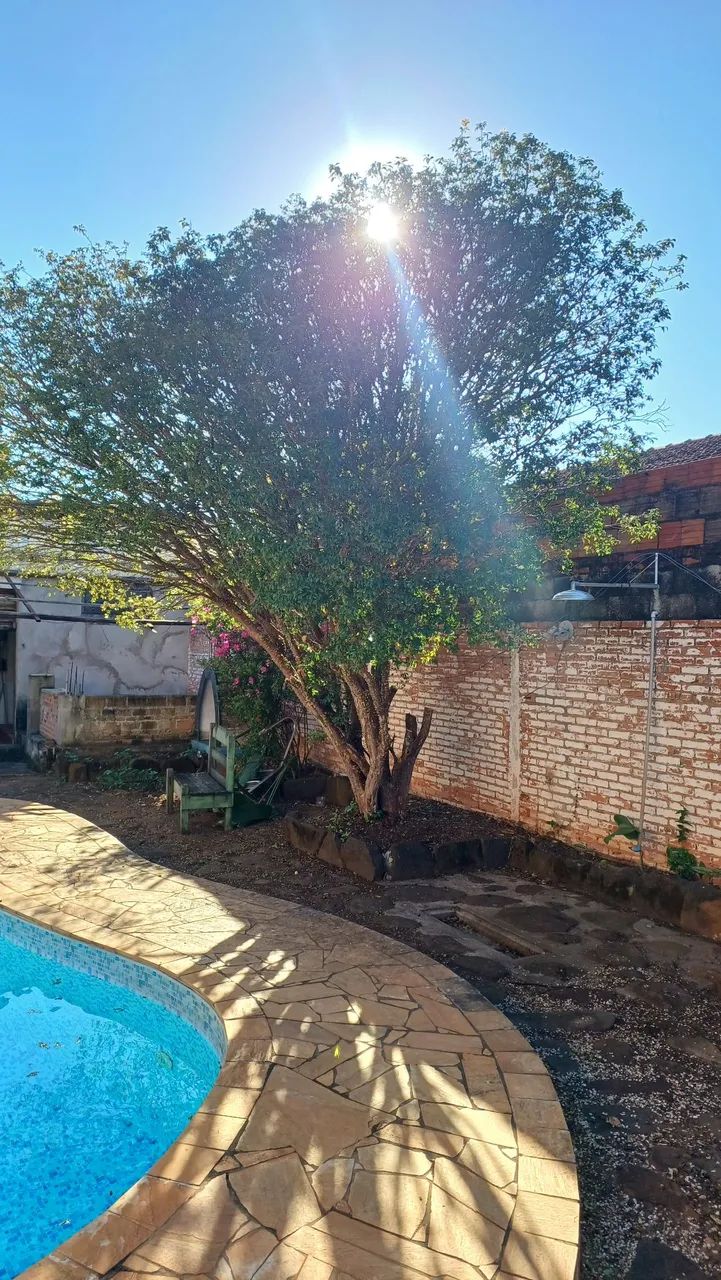 Doação Jaboticabeira - Foto 2