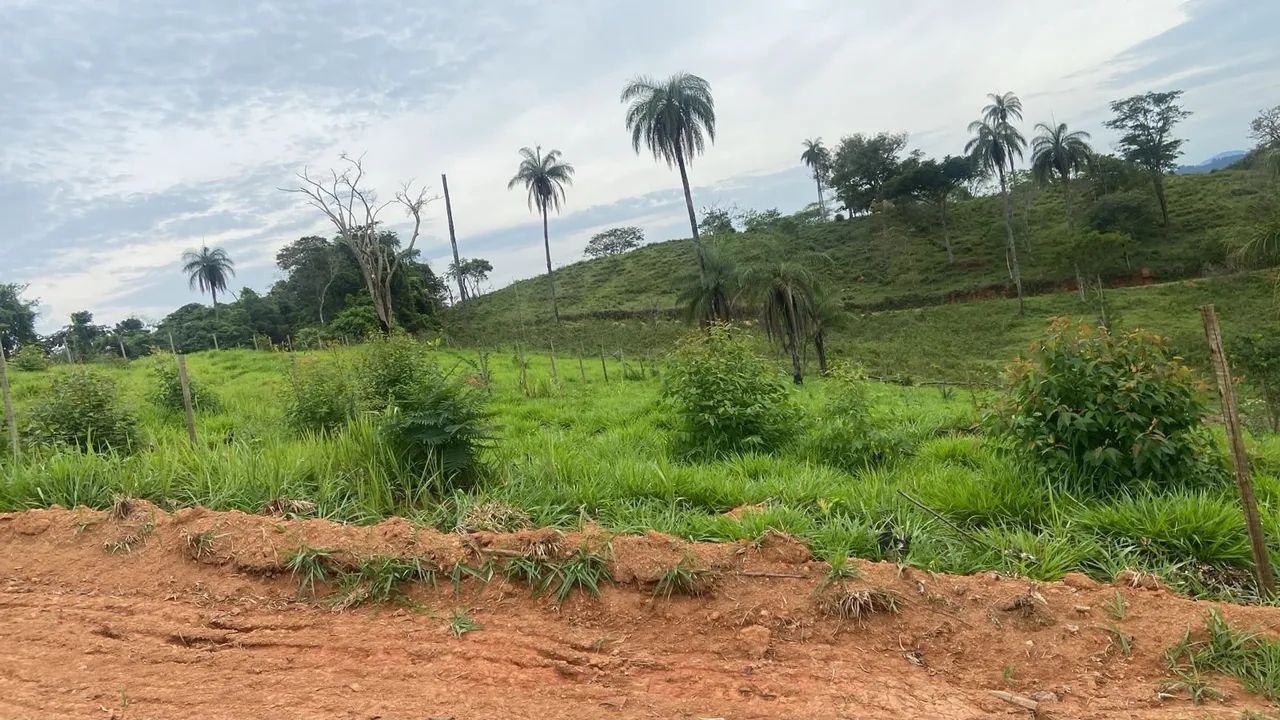 Vende se este lote  - Foto 4
