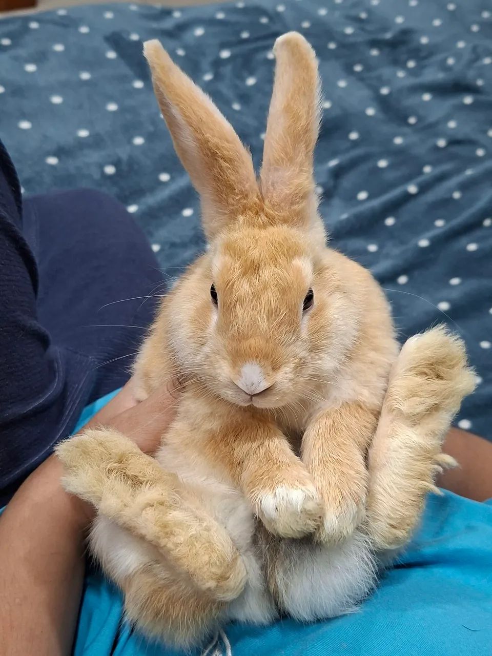 Machinho  3 meses