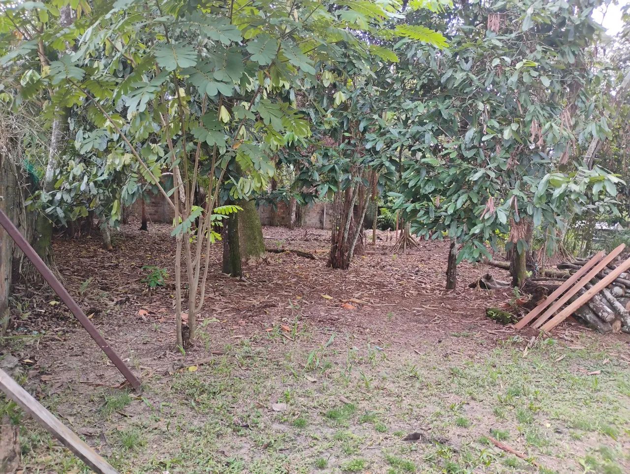 VENDO LOTES - Foto 4